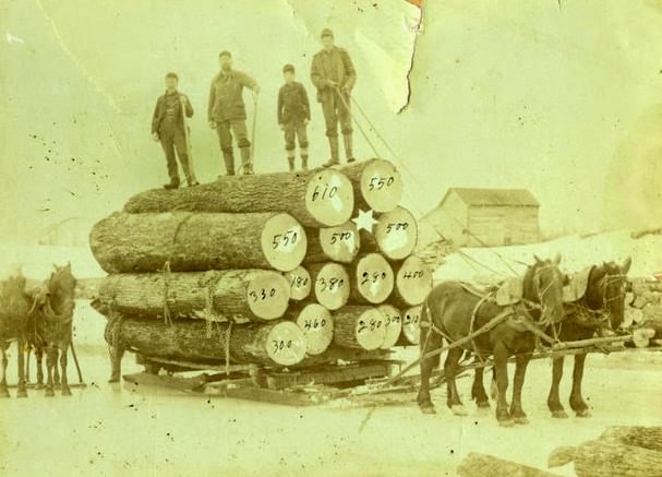 A logging crew poses on a sled pulled by a horse team. The numbers written on the logs represent the number of board feet in each log. Langlade County Historical Society.