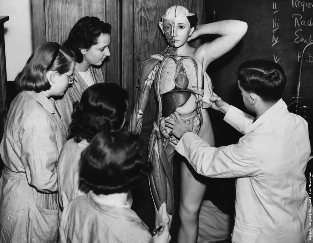 Trainee nurses examine a model of a human body to learn anatomy, 1938.