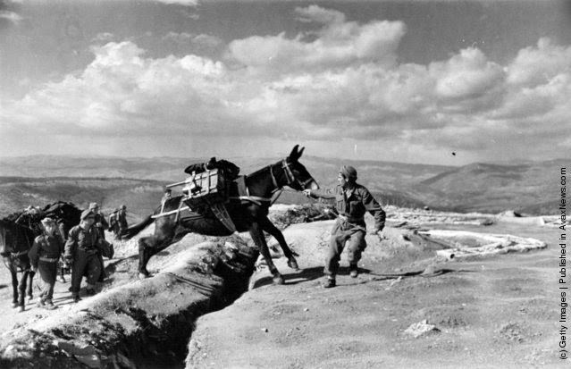 A mule train carrying ammunition near Papades on Euboia during the Greek Civil War, 1948.