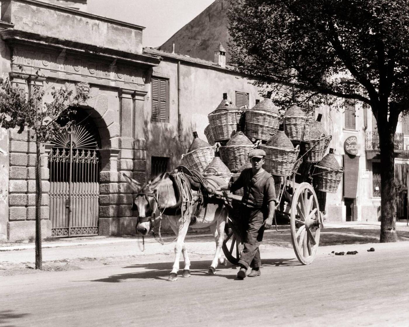 Man leading a donkey cart loaded with Chianti bottles and jugs wrapped in straw basketry with handles, Verona Italy, 1935.