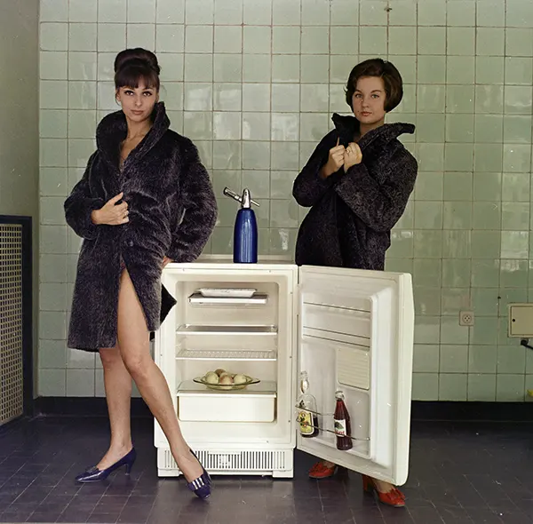 Hungarian refrigerator advertisement, 1969.