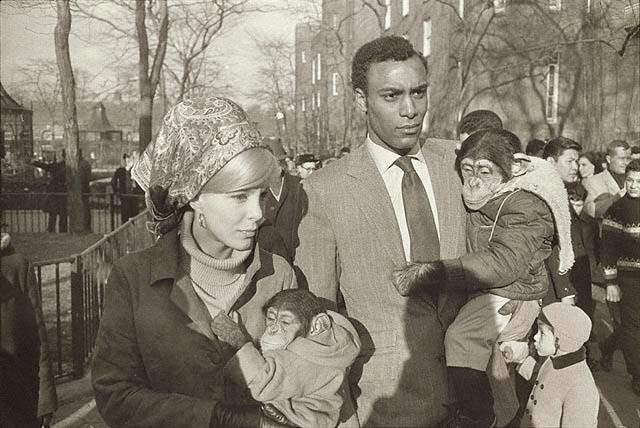 New York in the Swinging Sixties: Life on the Streets That Defined an Era