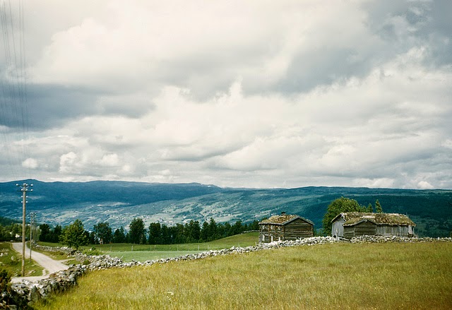 Gauldalen Valley, Sør-Trøndelag, Norway