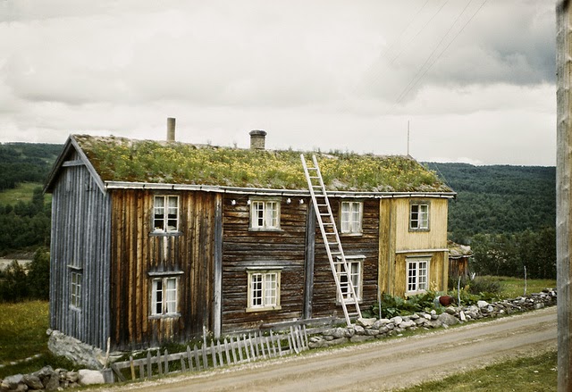Gauldalen Valley, Sør-Trøndelag, Norway
