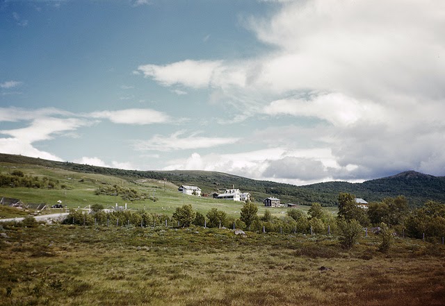 Hjerkinn, Oppland, Norway