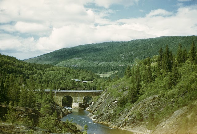 Gauldalen Valley, Sør-Trøndelag, Norway