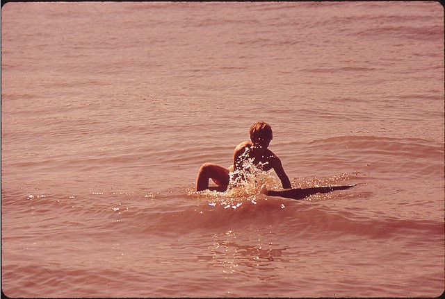 Kentucky - Near Louisville, June 1972
