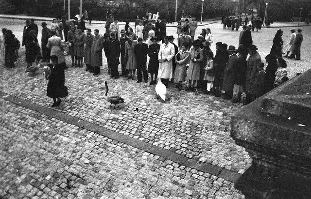 Paris Under Occupation: What Life Was Really Like During World War II