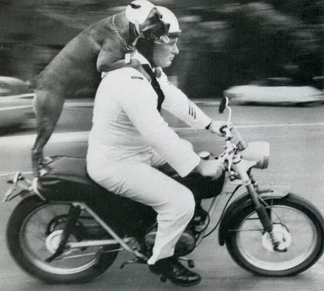 When Humor Was Unfiltered: A Look Back at Vintage Funny Moments