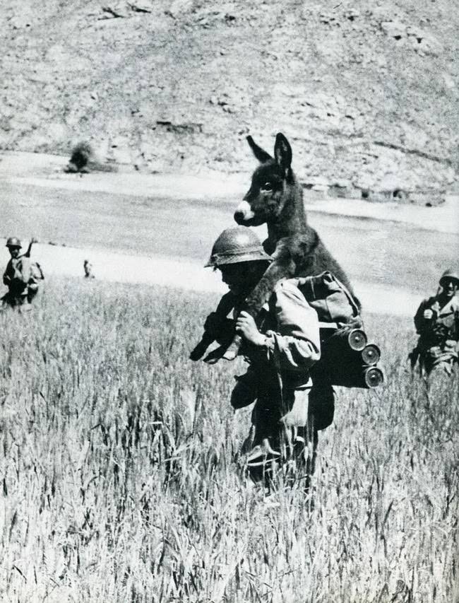 When Humor Was Unfiltered: A Look Back at Vintage Funny Moments