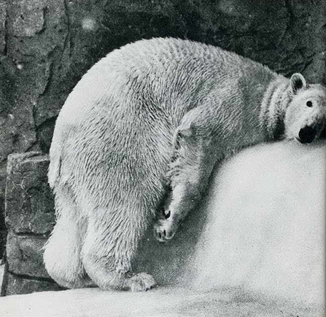 When Humor Was Unfiltered: A Look Back at Vintage Funny Moments