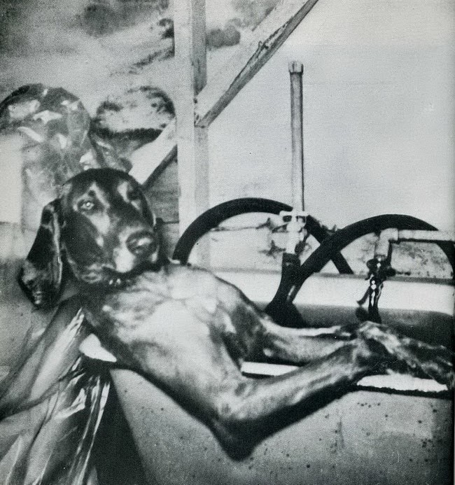 When Humor Was Unfiltered: A Look Back at Vintage Funny Moments