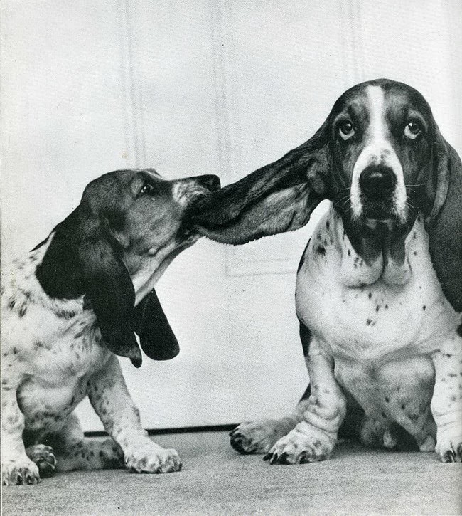 When Humor Was Unfiltered: A Look Back at Vintage Funny Moments