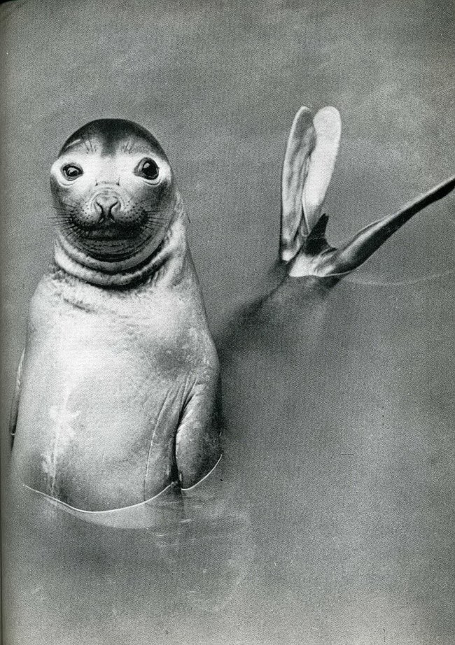 When Humor Was Unfiltered: A Look Back at Vintage Funny Moments