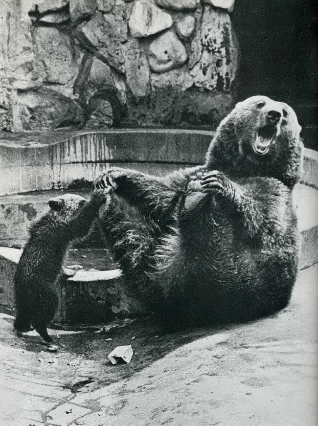 When Humor Was Unfiltered: A Look Back at Vintage Funny Moments