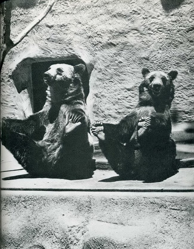When Humor Was Unfiltered: A Look Back at Vintage Funny Moments