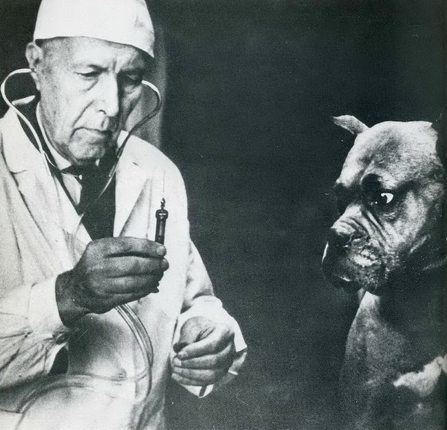 When Humor Was Unfiltered: A Look Back at Vintage Funny Moments
