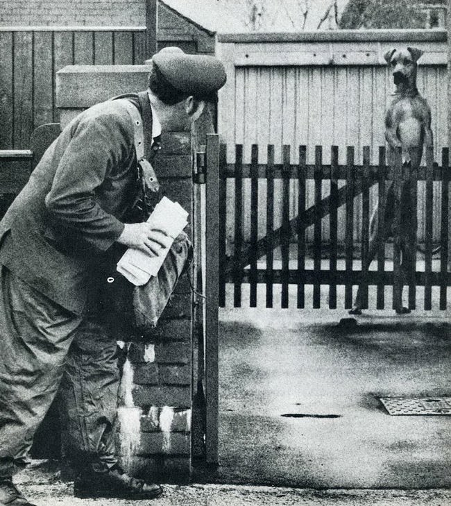 When Humor Was Unfiltered: A Look Back at Vintage Funny Moments