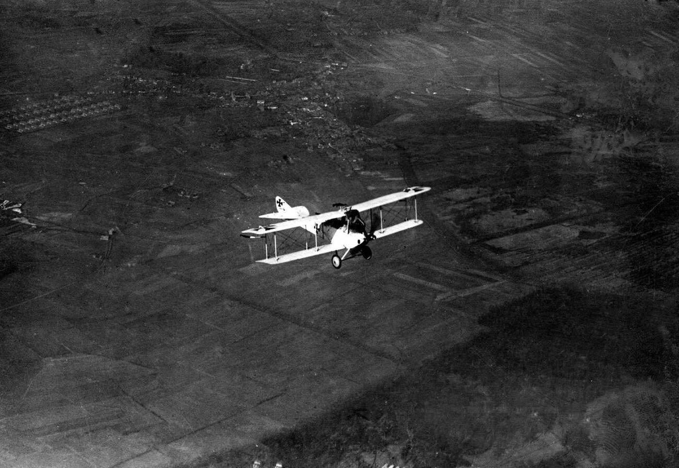 Max Immelmann in his machine, 1914-1918.