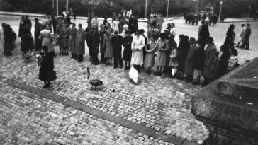 Paris Under Occupation WWII