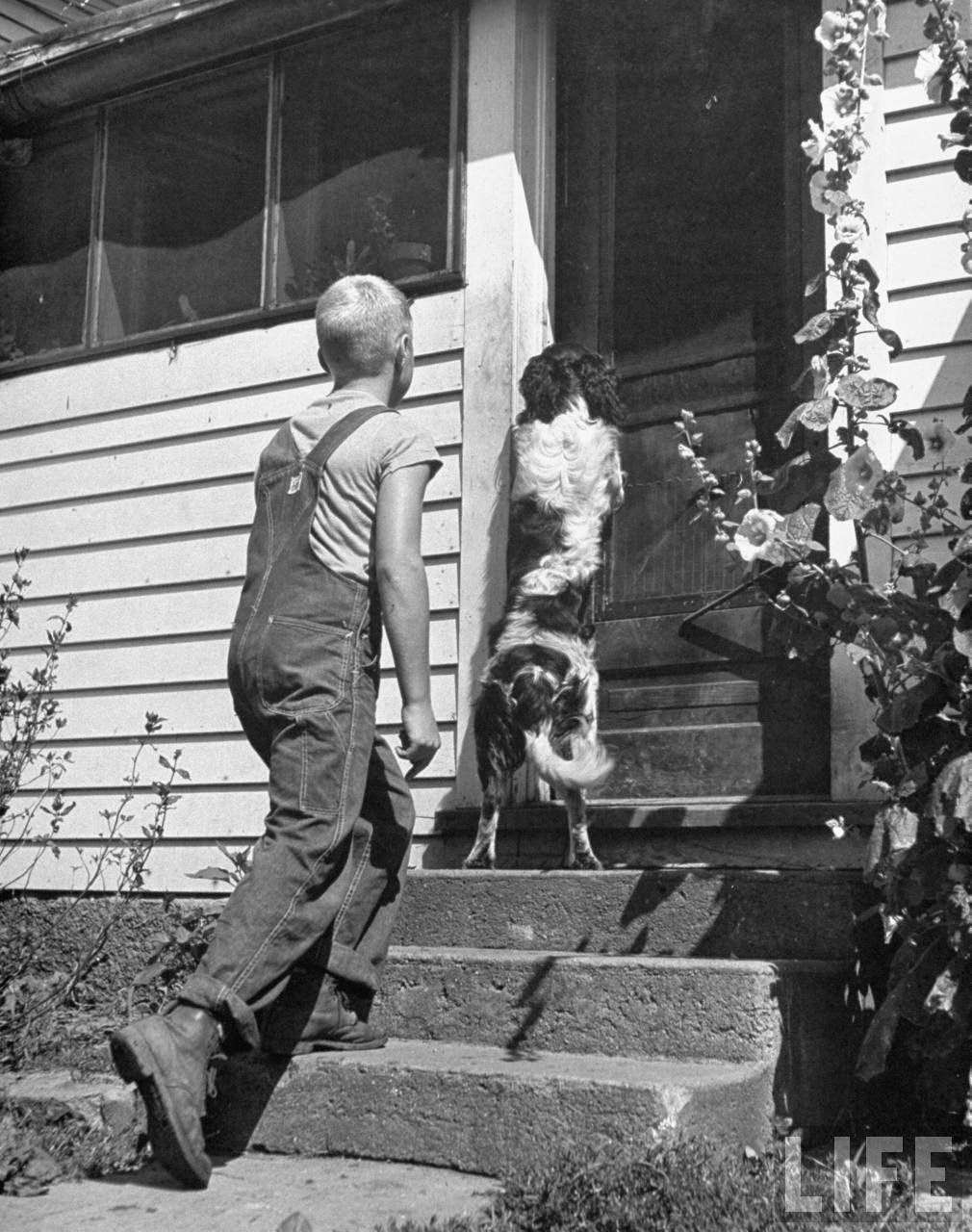 Dunk has learned how to open door with nose.