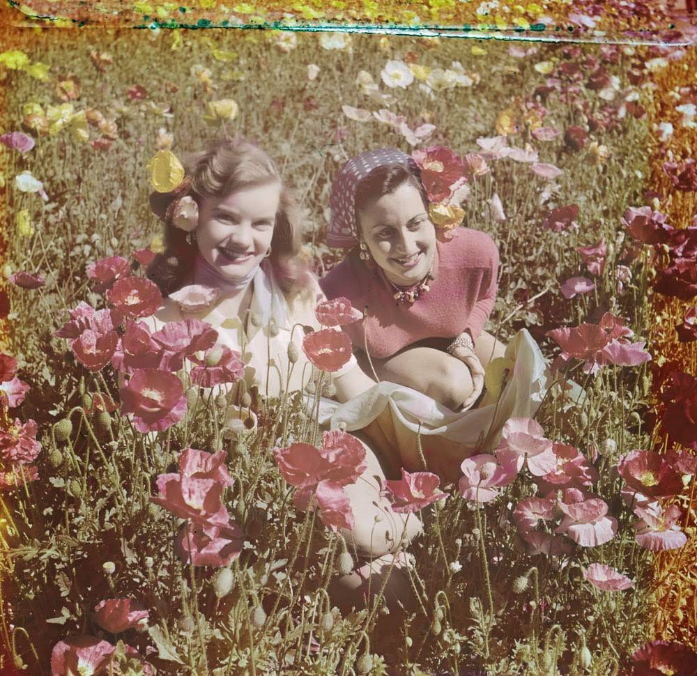 Women in a field of poppies near Lake Louise, 1951.
