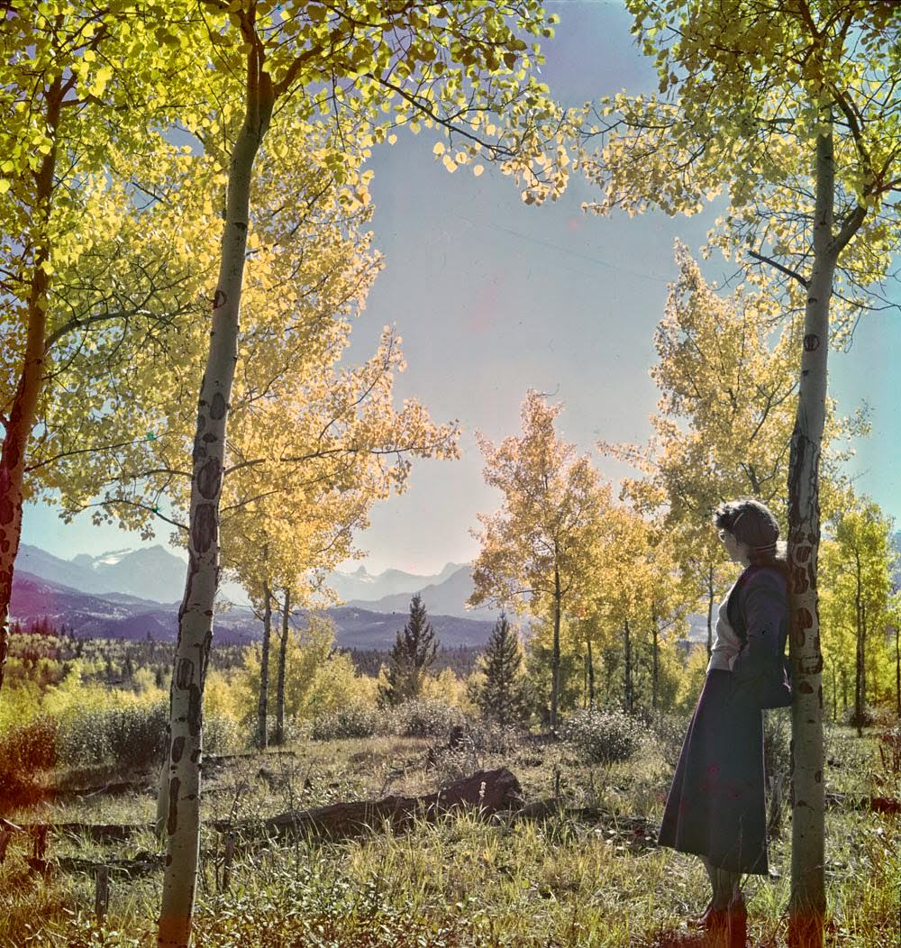 Autumn in Banff, 1951.