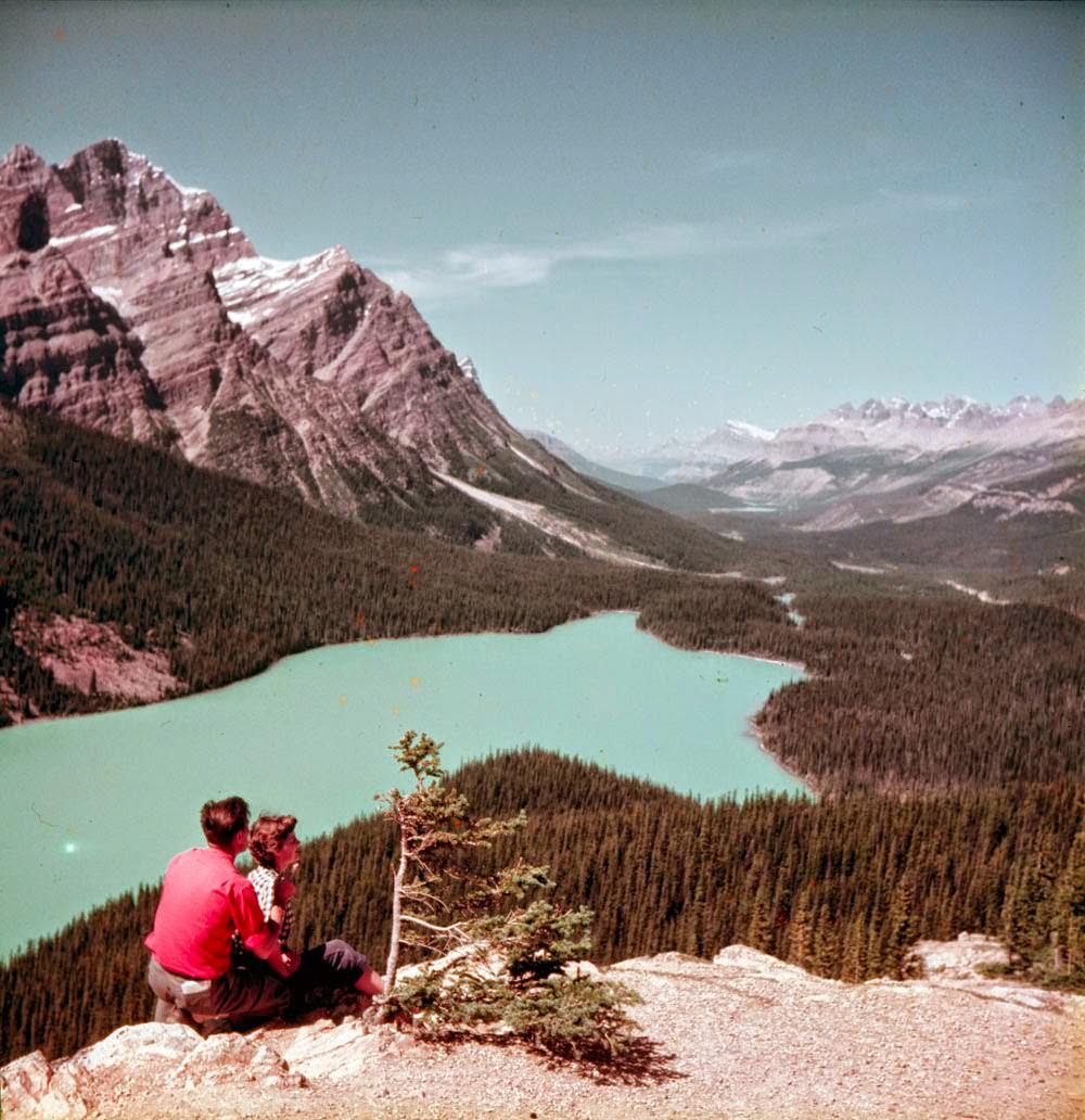 A couple looking down the Peyto Valley, 1953.