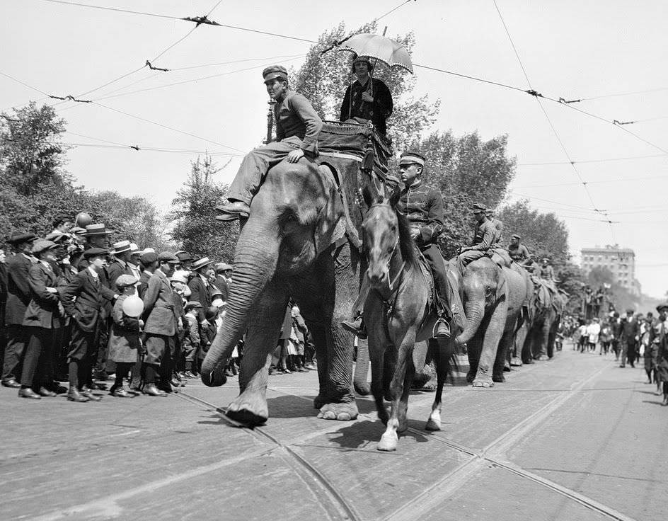 Circus elephants parade through Boston