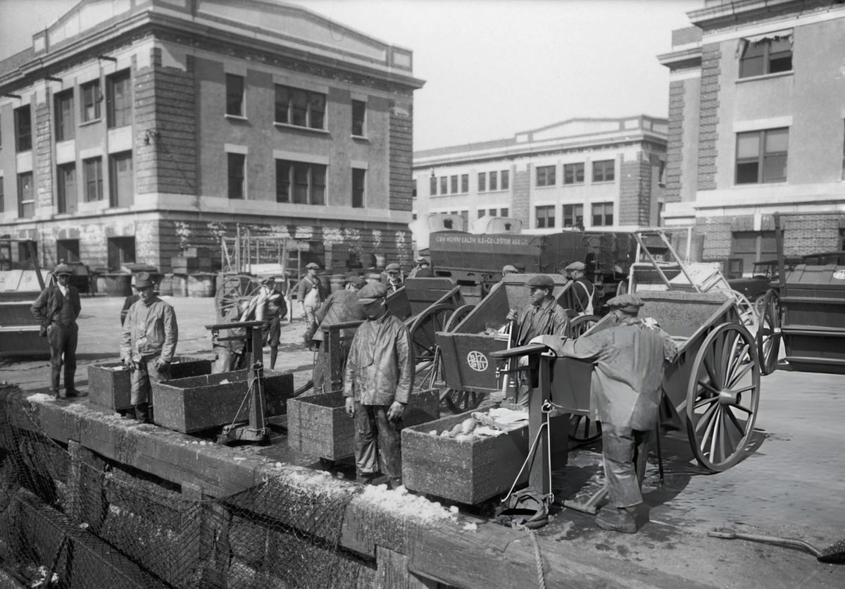 Workers waiting to unload haddock from fishing schooners at a South Boston wharf, 1923