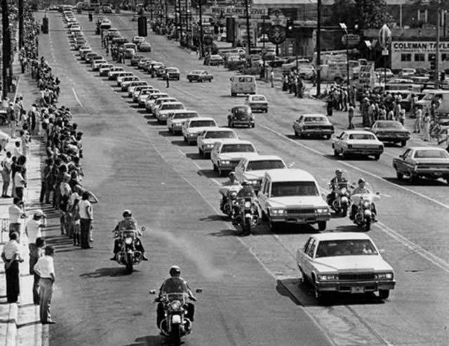 A string of white Cadillacs follow the hearse carrying the body of rock 'n' roll musician Elvis Presley along Elvis Presley Boulevard on the way to Forest Hills Cemetery in Memphis, Tenn., Aug. 19, 1977.