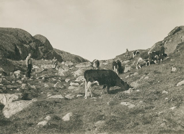 Wonderful Historic Photos of Greenland from the Late 19th Century