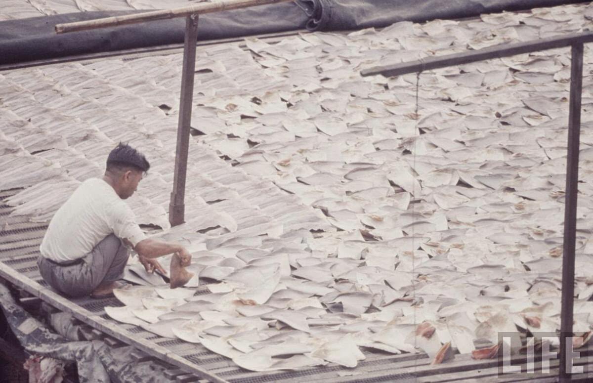 Fascinating Vintage Photos Show Life in the Late-1960s Hong Kong in Vibrant Colors