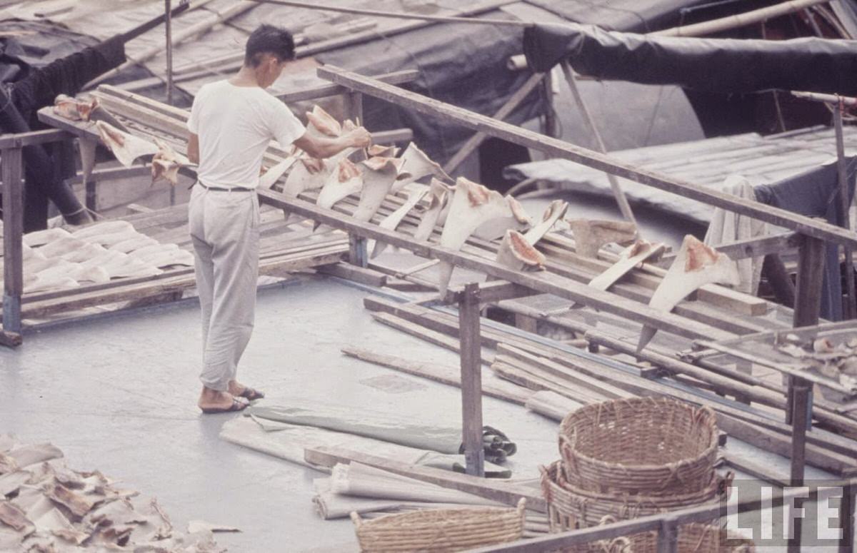 Fascinating Vintage Photos Show Life in the Late-1960s Hong Kong in Vibrant Colors