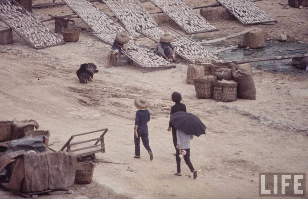 Fascinating Vintage Photos Show Life in the Late-1960s Hong Kong in Vibrant Colors