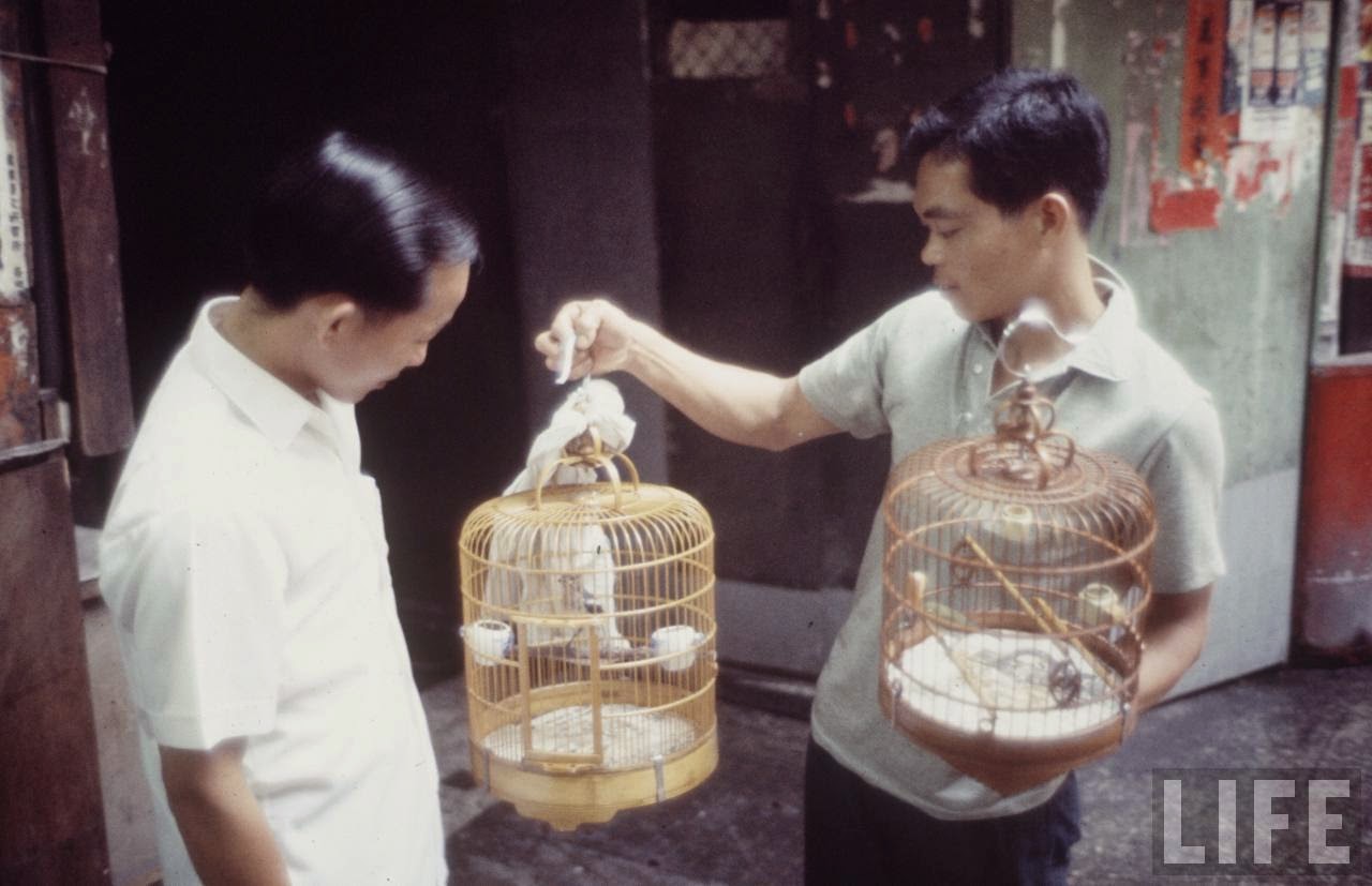 Fascinating Vintage Photos Show Life in the Late-1960s Hong Kong in Vibrant Colors
