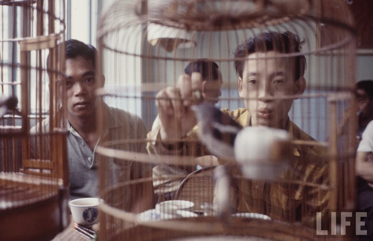 Fascinating Vintage Photos Show Life in the Late-1960s Hong Kong in Vibrant Colors
