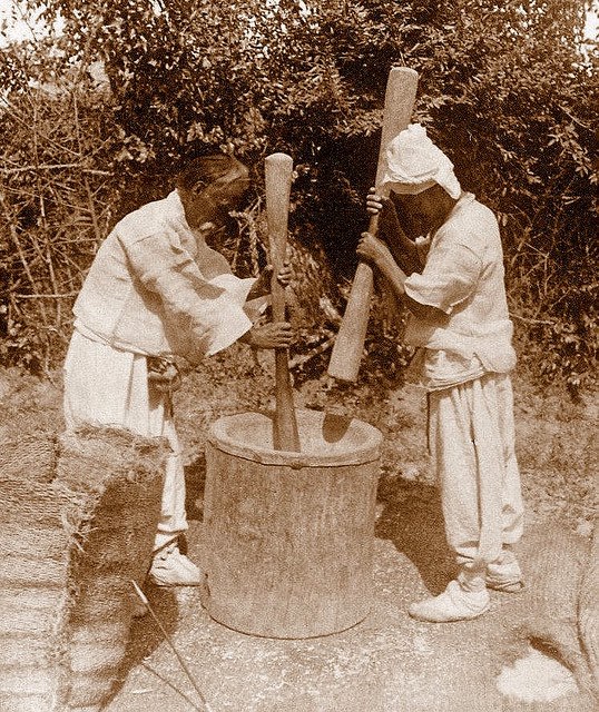 Historic Photos Show Life in Korea from the 1900s