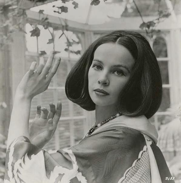 The French Star Who Charmed America: A Photographic Journey Through Leslie Caron's Golden Age