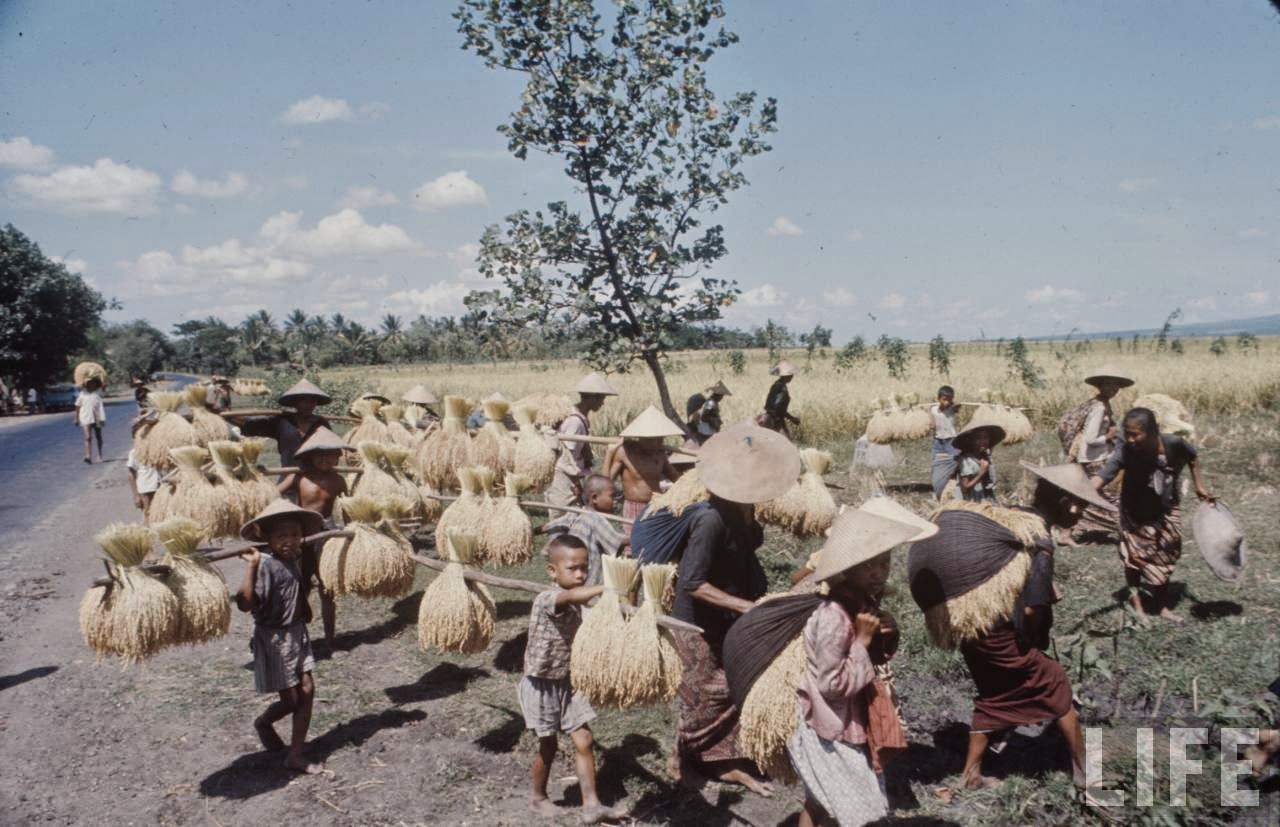 Fascinating Vintage Photos Show Everyday Life in Indonesia in 1972