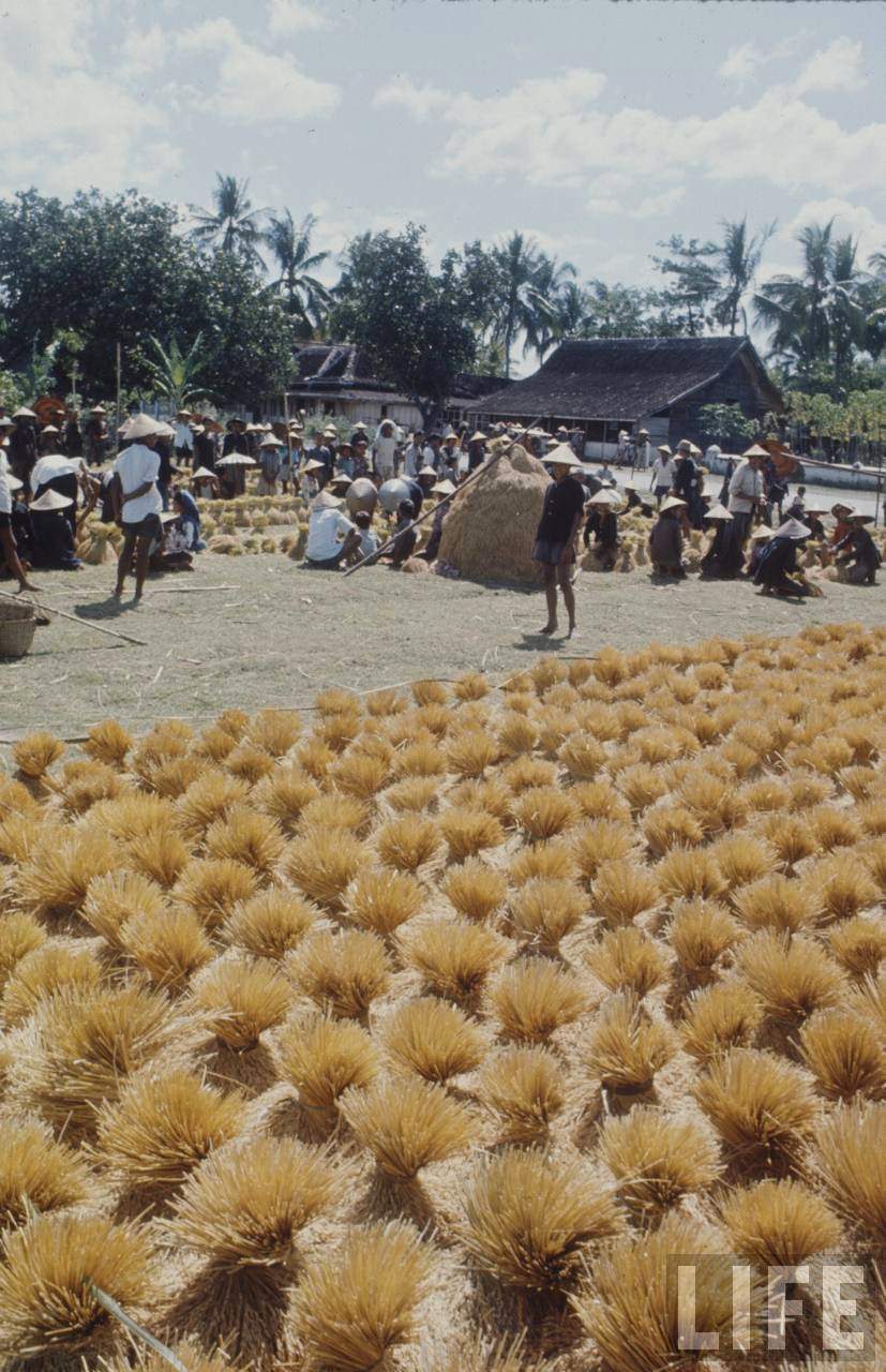Fascinating Vintage Photos Show Everyday Life in Indonesia in 1972