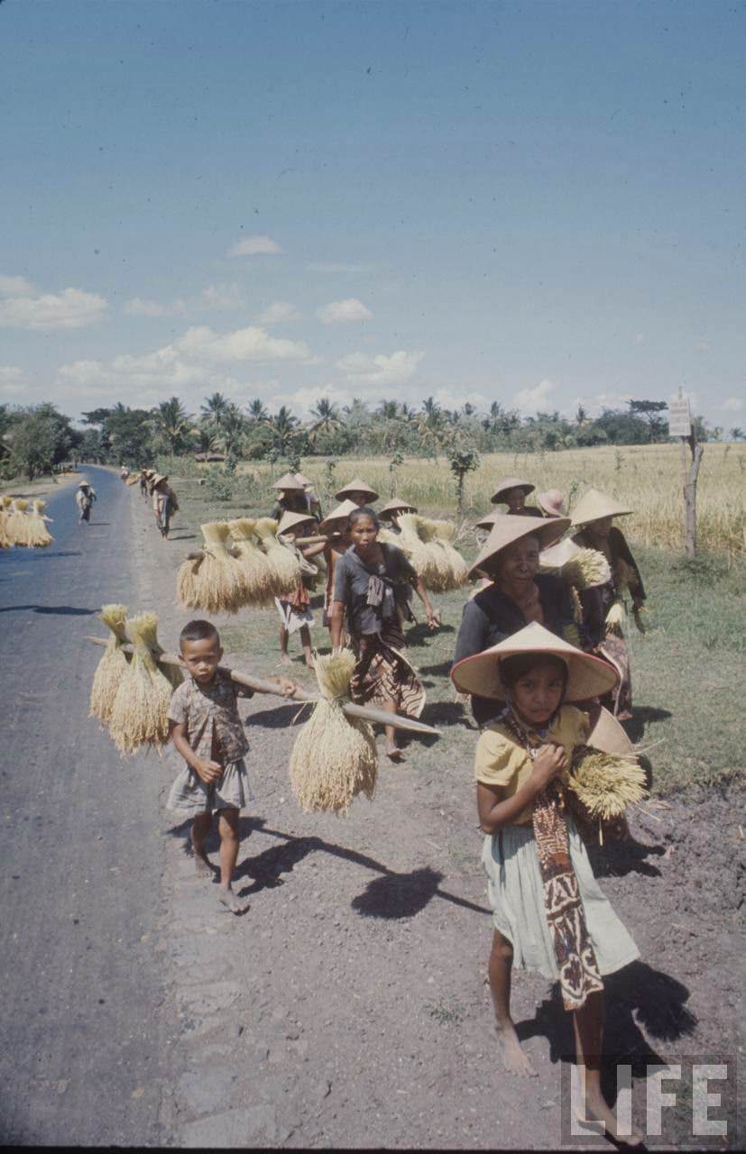 Fascinating Vintage Photos Show Everyday Life in Indonesia in 1972