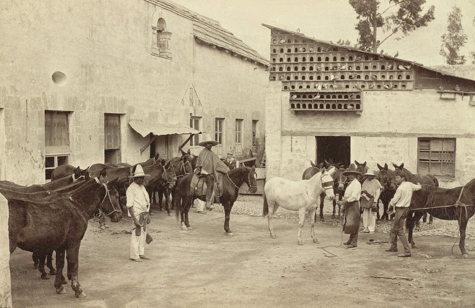 Shoeing the Mules (Mexican Village Scene), Mexico
