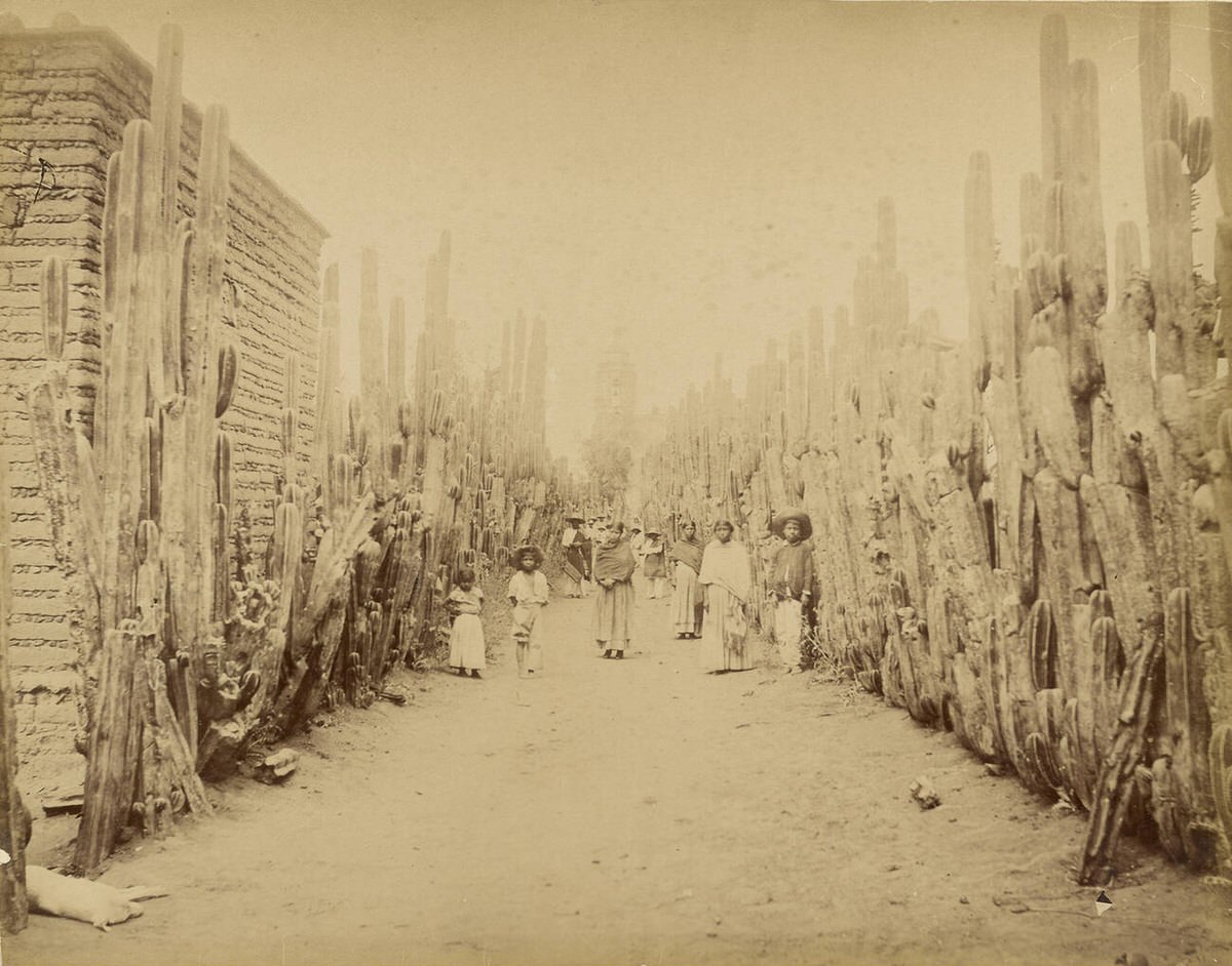 Street of Village San Juan, State of Mexico, 1880s