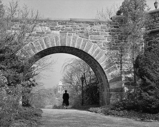 A Rare and Intimate Look at Life in New York City During the Early 1950s by Frank Oscar Larson