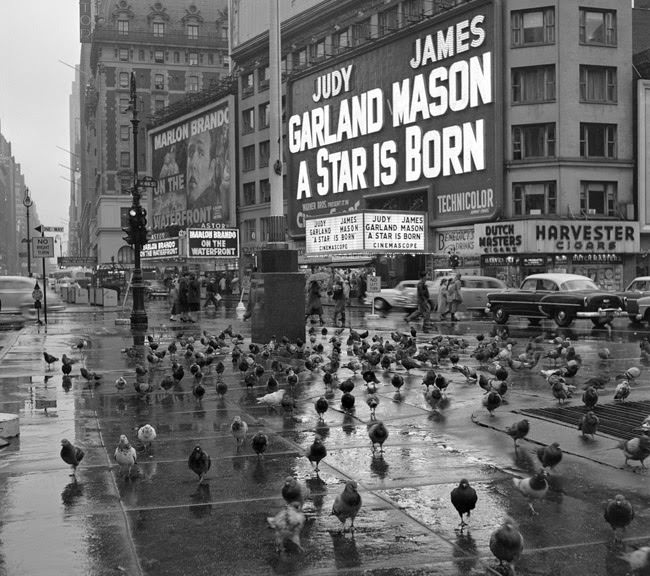 A Rare and Intimate Look at Life in New York City During the Early 1950s by Frank Oscar Larson