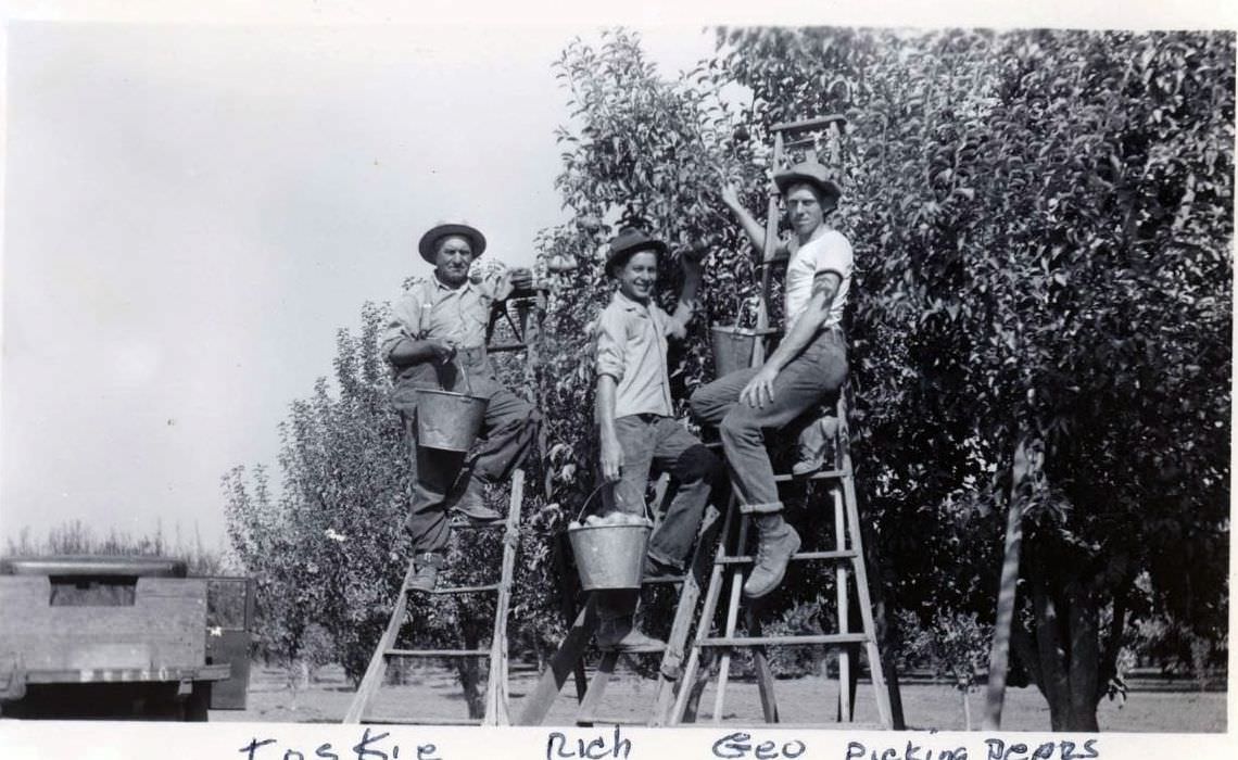 Early 20th-century farms in the Santa Clara Valley, known as the "Valley of Heart's Delight"