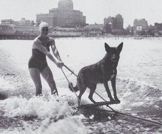 Rex the Wonder Dog and Arnette Webster French on the Steel Pier, Atlantic City, 1930s