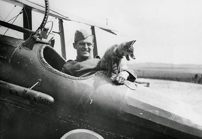 When the Shooting Stopped: Rare Photos of Soldiers of WWI Singing, Playing, and Living