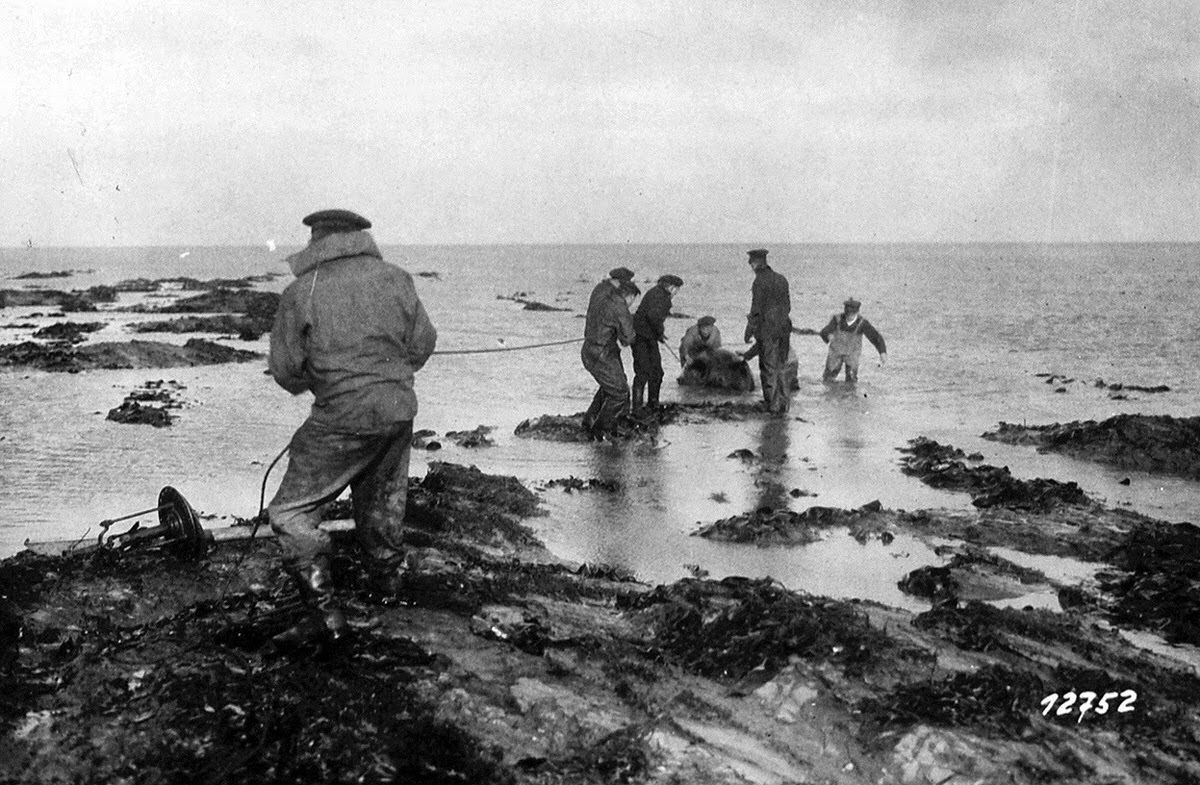 A mine is dragged ashore on Heligoland in the North Sea, October 1918.